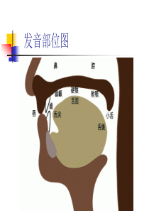 广播站普通话练习稿