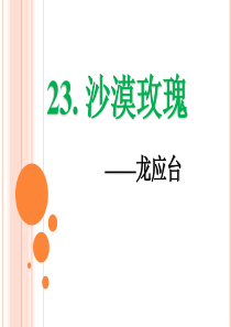 23《沙漠玫瑰》PPT课件