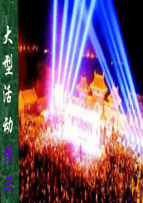 大型活动(保卫师)2011