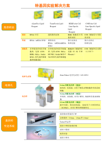 转基因实验解决方案