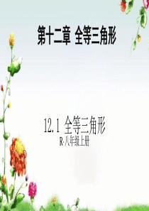 人教版八年级上册第十二章全等三角形 12.1全等三角形教学课件(共24张PPT)