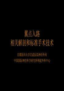 翼点入路的相关解剖和标准手术技术