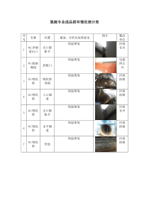 脱硫脱硝成品损坏情况统计表