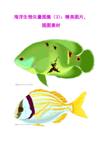 海洋生物矢量图集(3)：精美图片,插图素材