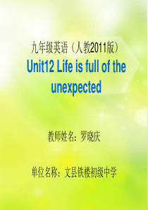 2016最新制人教版九年级英语Unit_12_Life_is_full_of_the_unexpec