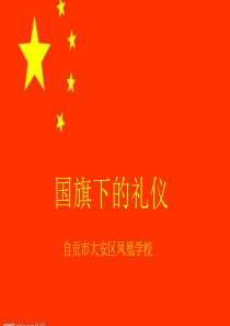 升旗仪式礼仪要求PPT