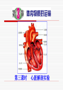 第3节 体内物质的运输(第四课时)