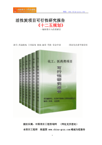 活性炭项目可行性研究报告立项格式范文