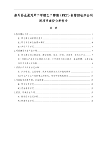 ××项目可行性分析报告(格式)