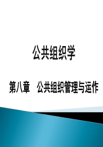 公共组织学(第二版),张建东主编,第八章-公共组织管理与运作