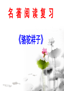 名著阅读《骆驼祥子》复习教案(好)