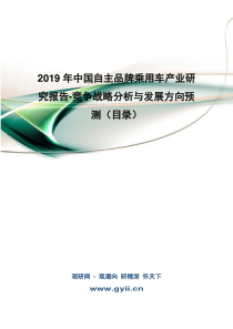 2019年中国自主品牌乘用车产业研究报告-竞争战略分析与发展方向预测