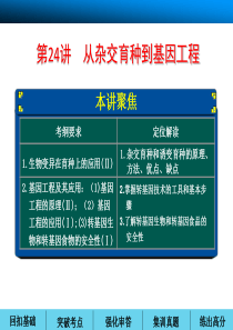 2014高考生物一轮复习第七单元  生物变异、育种和进化第24讲从杂交育种到基因工程