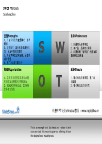 SWOT分析PPT-经典模板