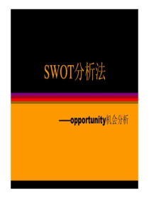 swot分析法―机会分析