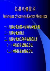 扫描电镜及其制样技术