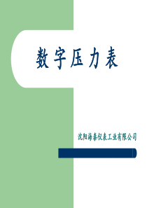 数字压力表,数字式标准压力表,美国压力表,SSI压力表