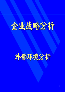 企业战略分析外部环境分析