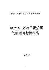 年产60万吨兰炭炉尾气治理可行性报告