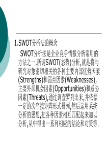 城市战略规划swot分析-1