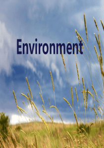 environment 环境 主题英文 PPT