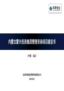 段东―蒙兴集团项目建议书预先版(1).pptx [修复的]