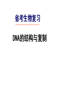 学考复习 高二生物 DNA的结构和复制