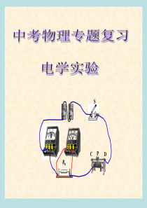 物理总复习电学实验专题(ppt课件)