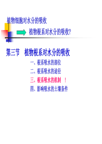 第二章-植物生理学 水分生理2