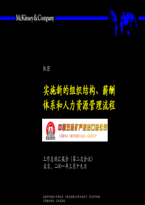 实施新的组织结构、薪酬体系和人力资源管理流程