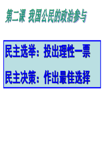 我国公民的政治参与