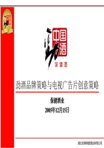 劲酒品牌策略及广告片创意策略(修订稿)