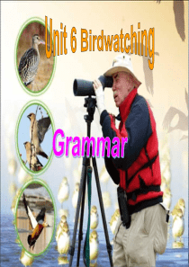 8A+Unit6+Birdwatching+grammar+课件(共20张PPT)