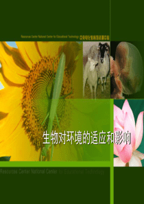 生物对环境的适应和影响[1].ppt