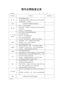 塔吊检查记录表(最全)