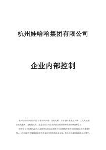 娃哈哈集团有限公司企业内部控制