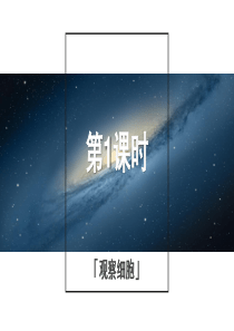 浙教版科学2015年中考复习《中考拐点》第1课时 观察细胞