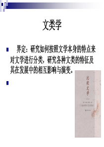 中西小说比较