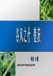 诗经楚茨译文注释题解鉴赏读解分析