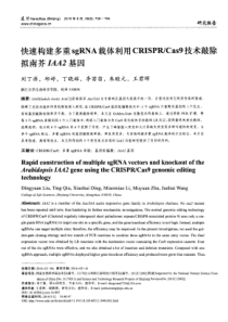 Cas9技术敲除拟南芥IAA2基因