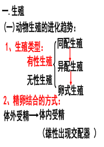 初中生物竞赛辅导课件之动物学知识补充