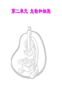 初中生物第二单元《生物和细胞》专题复习