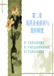 医药企业管理学——第二章_医药企业组织