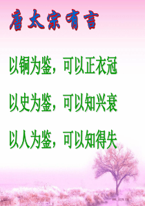 《阿房宫赋》(非常完整)ppt课件