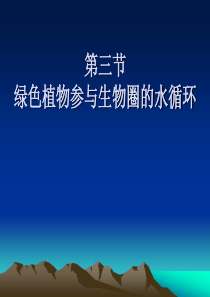 绿色植物参与生物圈的水循环课件