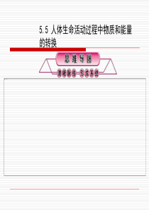 5.5 人体生命活动过程中物质和能量的转换