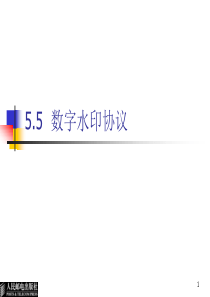 5.5数字水印协议-数字水印基础教程