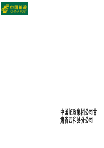 邮政公司寄递业务发展方案