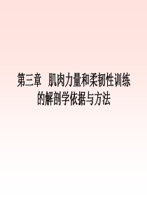 12上肢肌肉力量和柔韧性训练的解剖学依据与方法