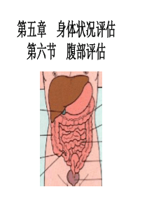 健康评估第五章身体状况评估第六节腹部评估公开课